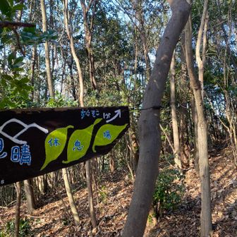 すぐそこに、見晴のいい休憩場があるって！行ってみよう❗️