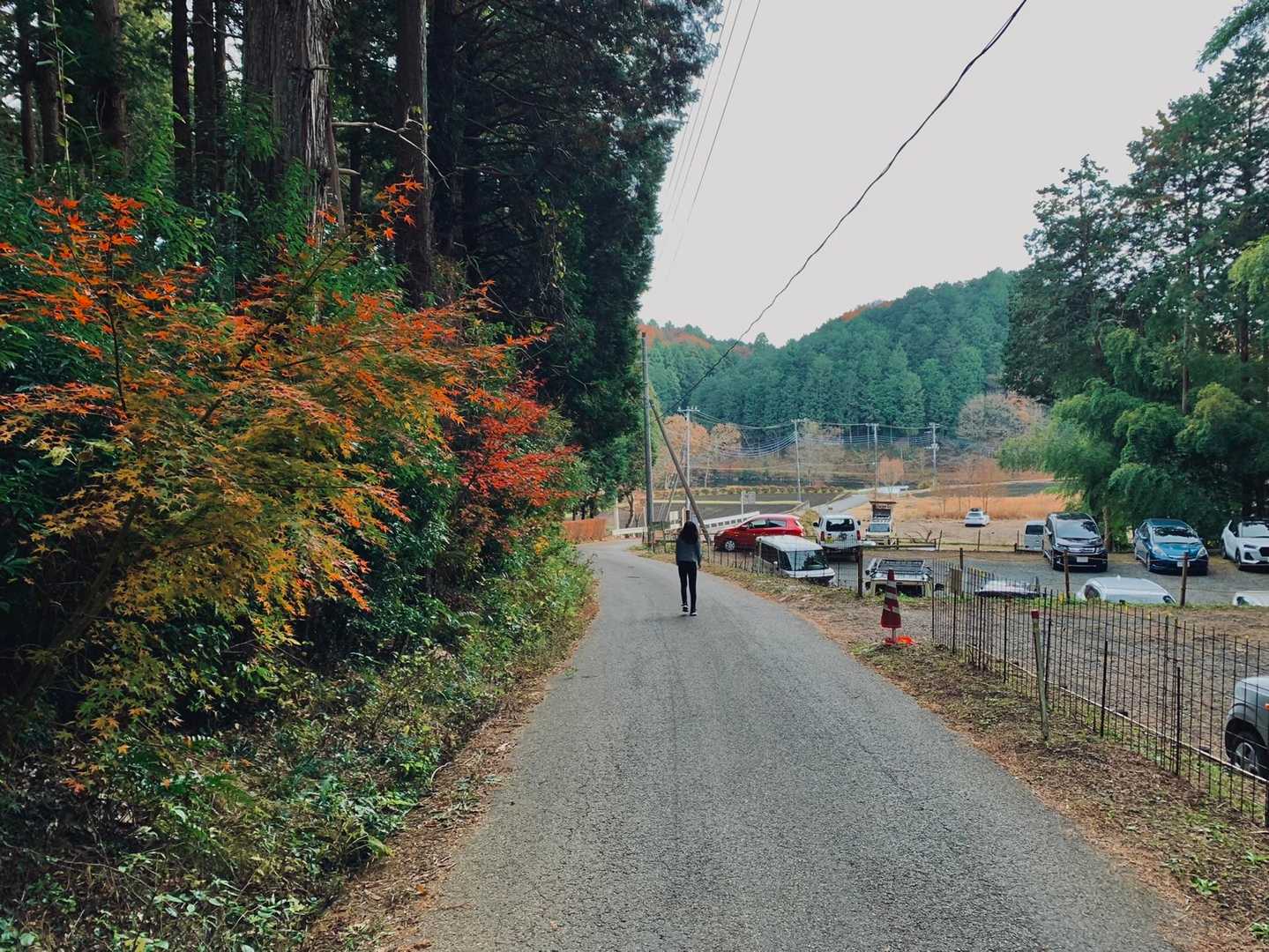 ⛰無事下山です⛰
そのままちょっと先にある
唐沢池まで延長戦🏞
