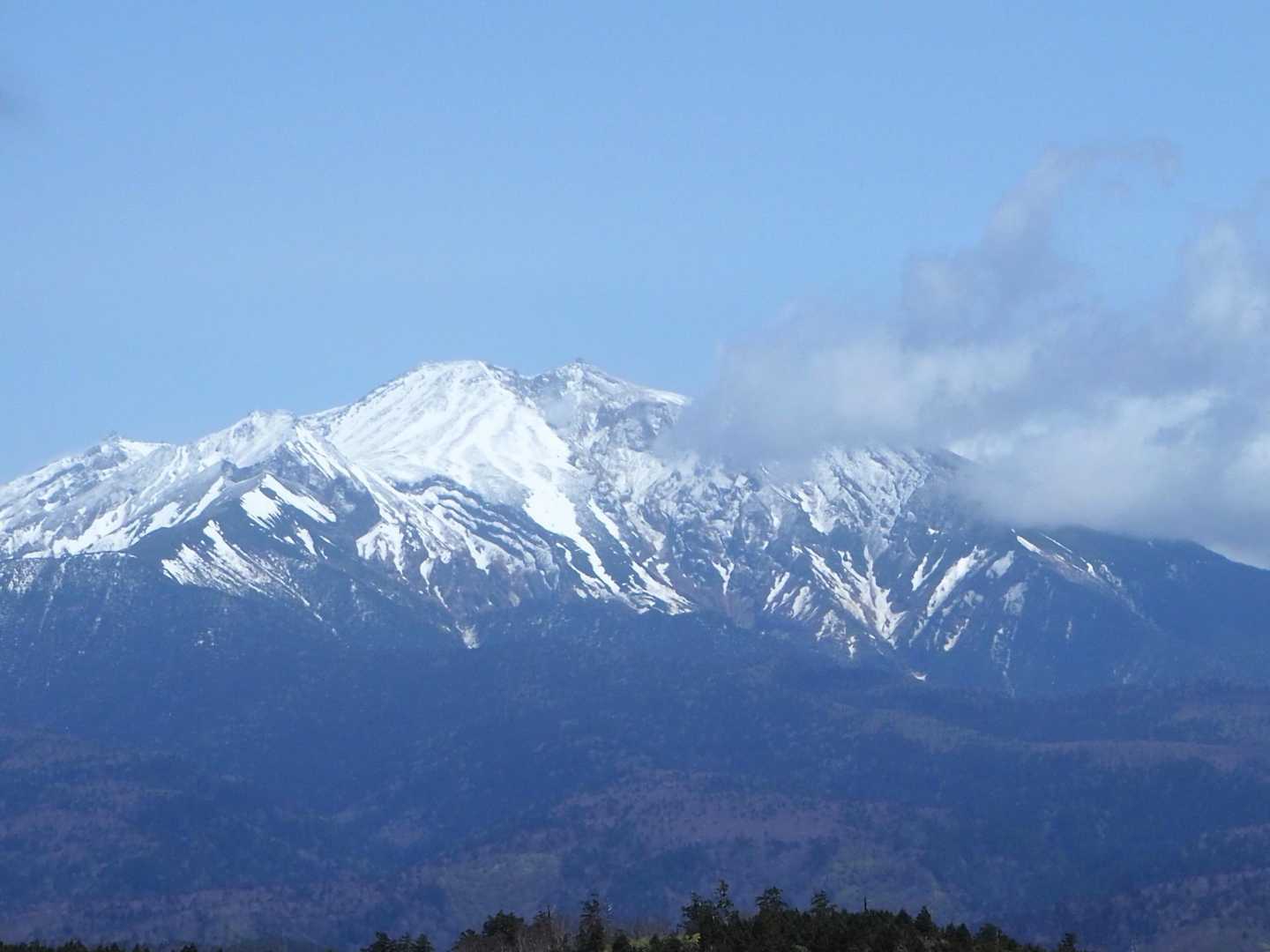 望遠レンズでパシャリ📷