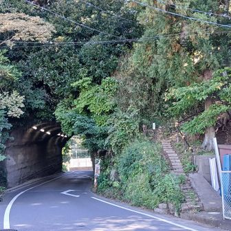 多間院駐車場通り抜け、右のヘアピンカーブ曲がり駐車場の横を通る感じ
わかりにくく同じように迷う人多かった