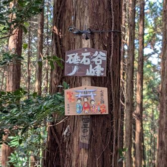 砥石谷ノ峰到着