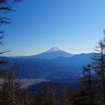 櫛形山山頂は富士山の方角が切り開かれてました。
