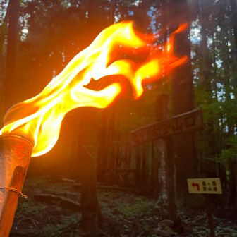 周りの木々に燃え移らないよう、慎重に登ります👍