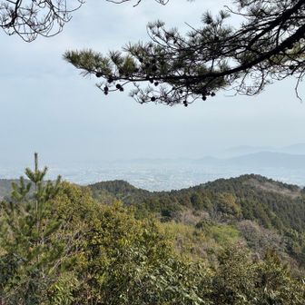 大野城市付近が見えますね〜