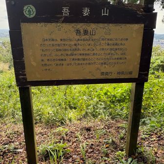 この山のいわれが書かれています。