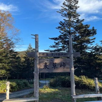 麦草峠