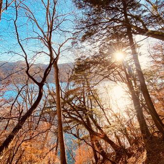 紅葉の時はきれいなんだろな