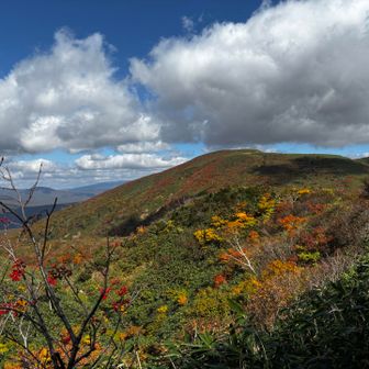 紅葉が見頃