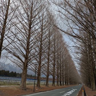 石庭の集落に下りて、駐車場までが長かった💨