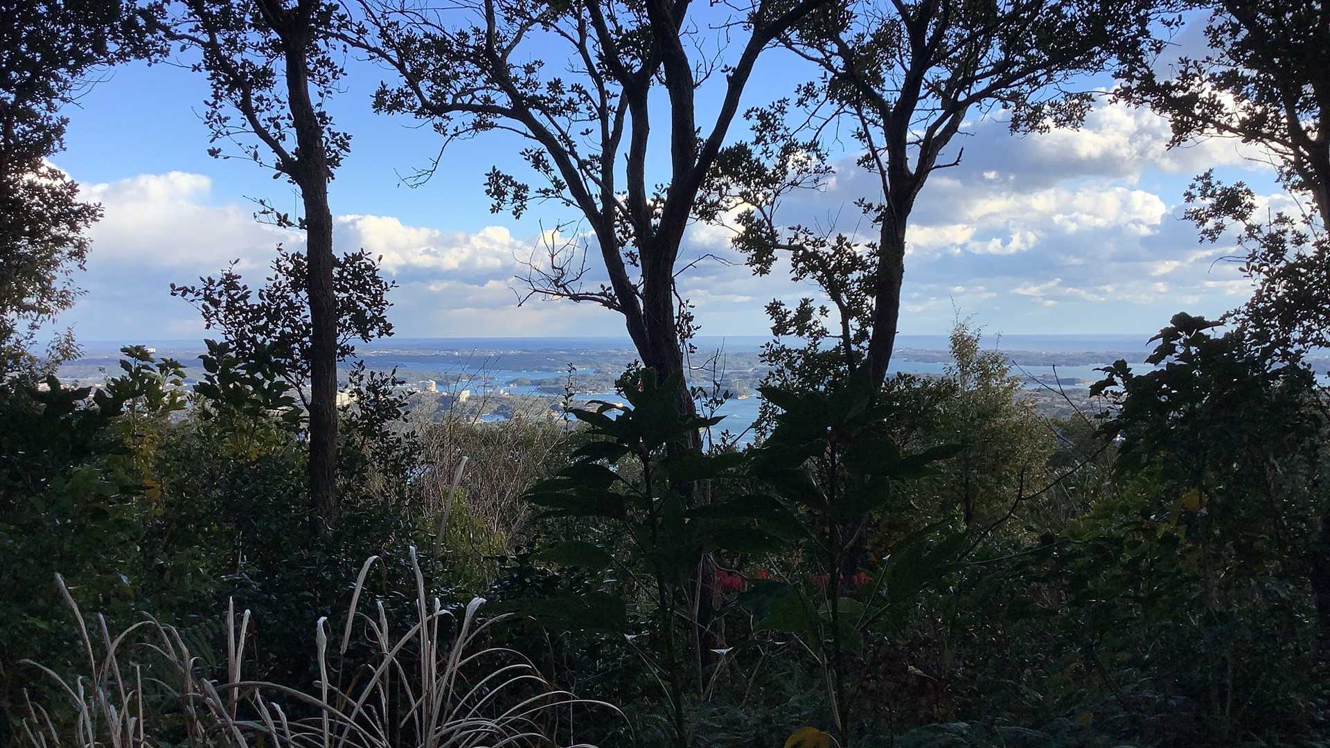 これが横山山頂からの眺め…。
木々に遮られているわけです。