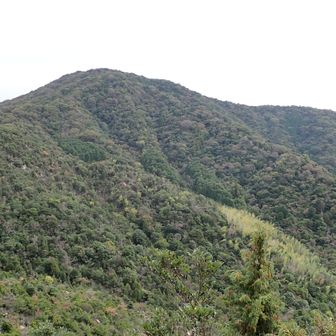 勘十郎岳から見た亀尾山（大海山）