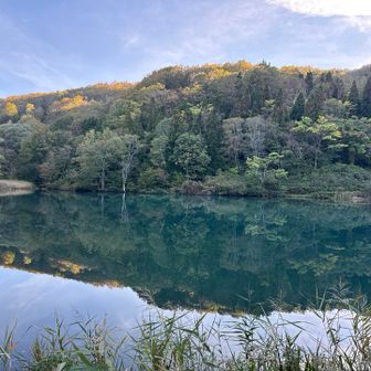 紅葉は11月初旬かな
とても綺麗になります✨🍁