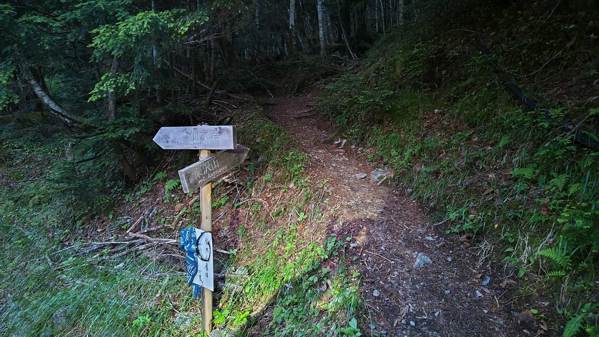 栗沢山への登山口。
ヘッドランプ付けて登ります。