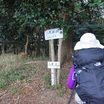 小鷹城山
YAMAP1648座目