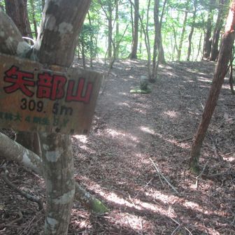 矢部山の山頂
神社から取り付きましたが、樹林帯の道なき道💦(獣道のみ)
山頂までいくと目印があったので、道は反対側へ通じるみたい。