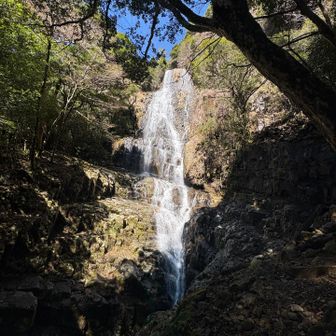 少し引いて、白滝全部が写るようにしてみました。