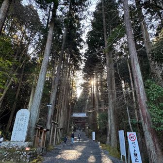 負傷中🩸の山行でドキドキ💓