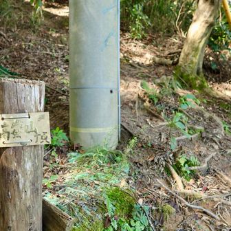 ここを少し登ったところが高安山