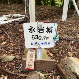 頂上着いた