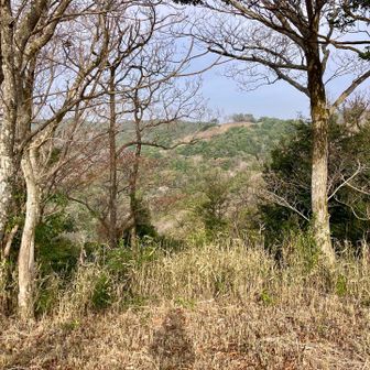 408ピーク、今日は我慢