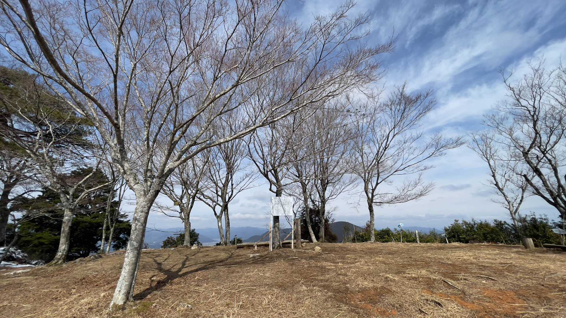 山頂に到着。ぱっと視界が広がります。