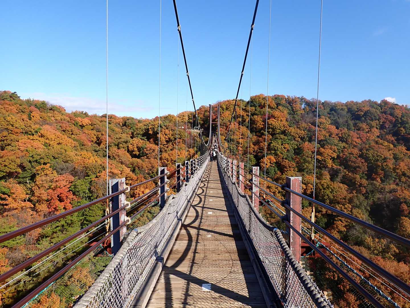渡りながらも紅葉鑑賞