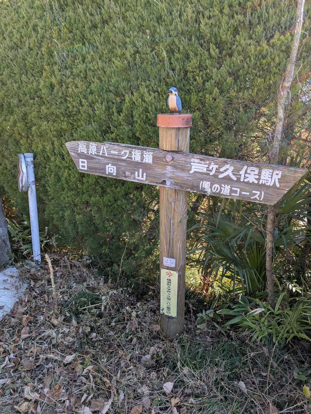 道標が沢山あり安心です✨
