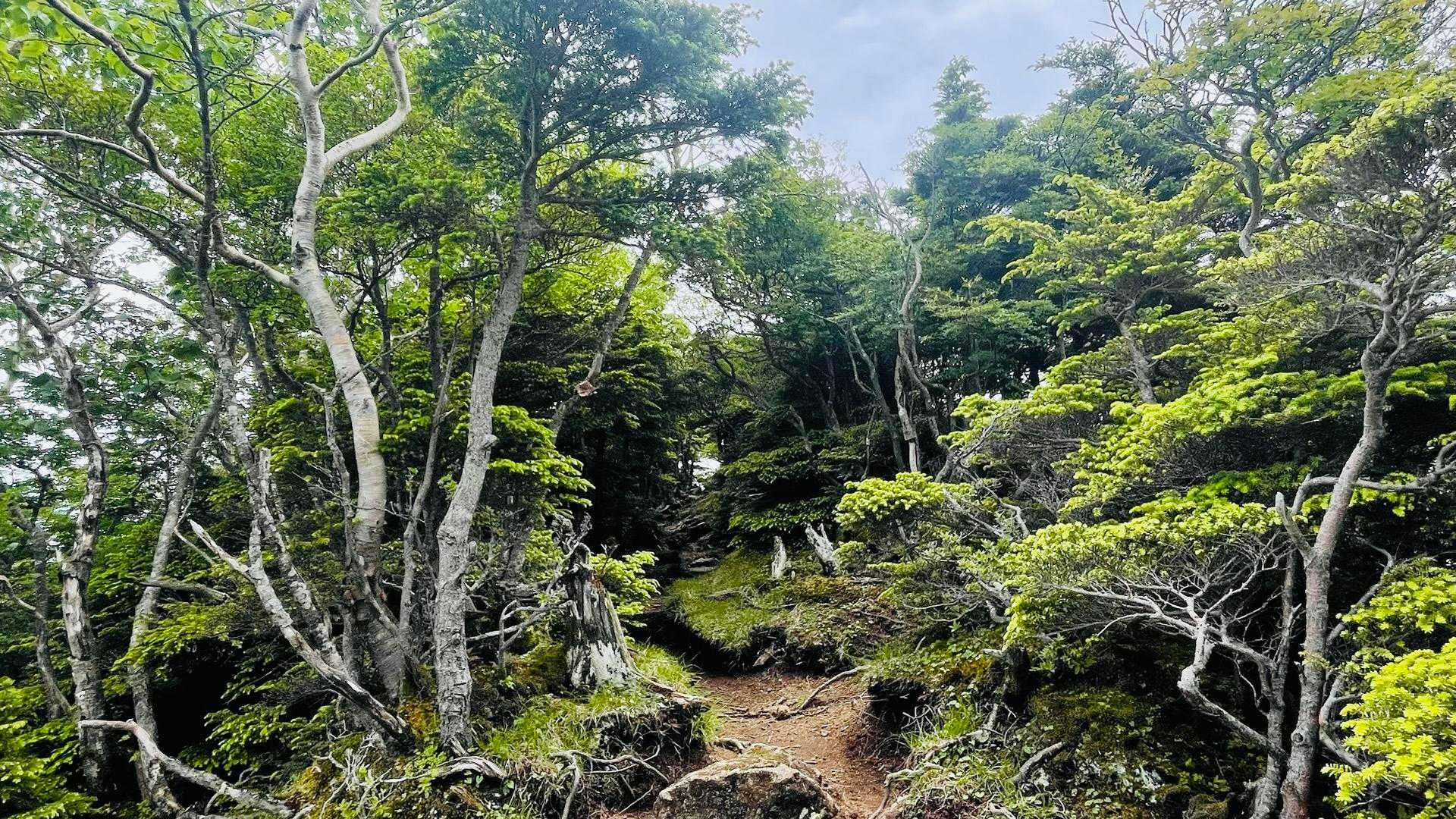 戻ります🚶‍♀️‍➡️