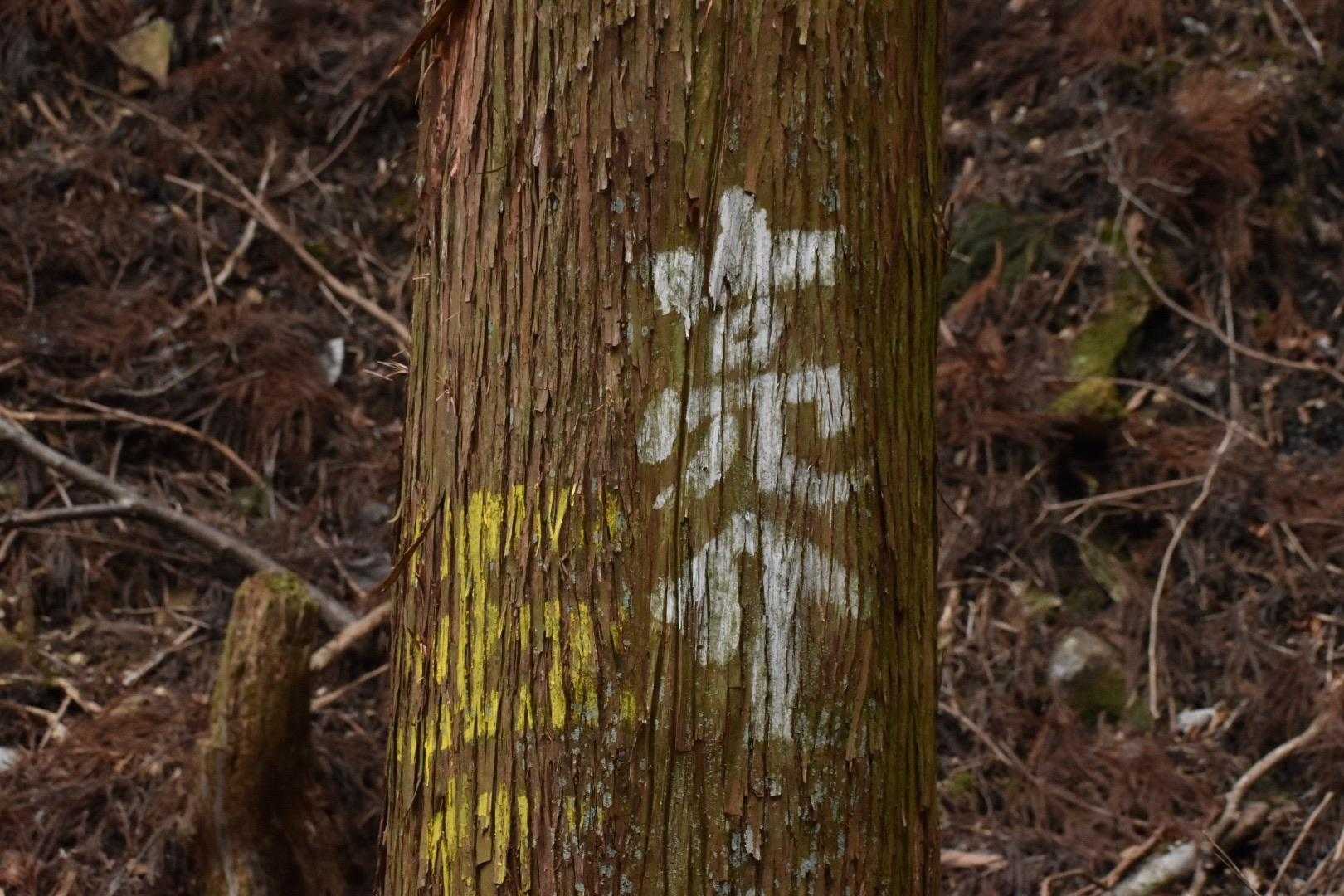 承認欲求強めの落書き。