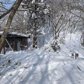 今日もお世話になります(_ _)