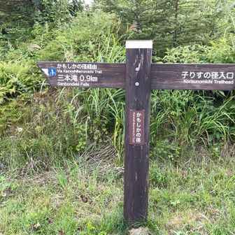 三本滝の駐車場からスタートします。駐車場にはトイレとレストハウスがあります。レストハウスは時間が早いのでまだ営業してませんでした。自動販売機も設置されていました。

三本滝登山口は駐車場の敷地内にあります。