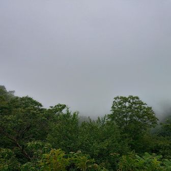 キレイに真っ白⚪