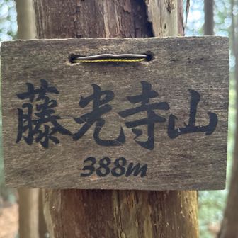 藤光寺山登頂388m