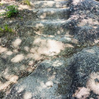 南の法泉寺山方面へ
花崗岩の階段の道