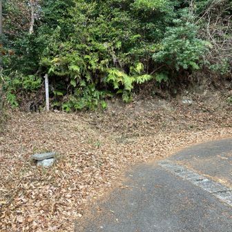 左側の登山道へ