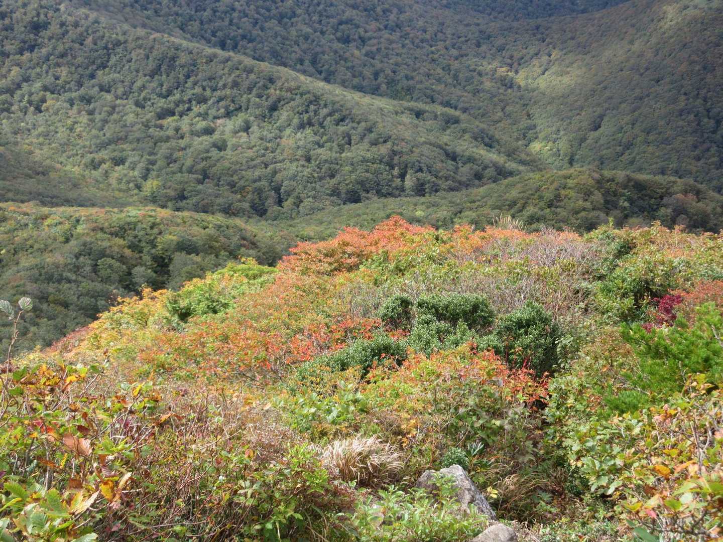 
ランチ休憩を取って下山