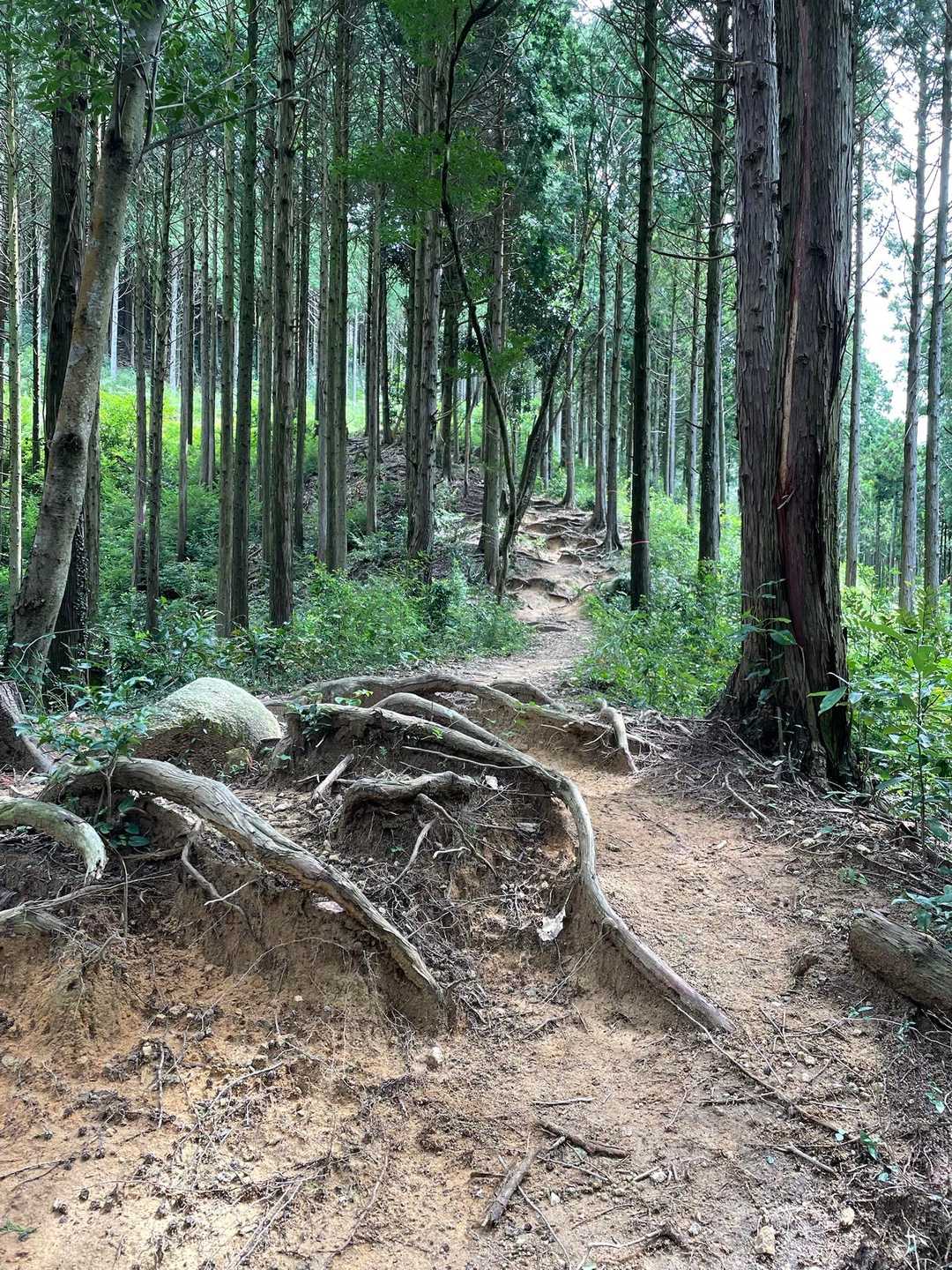 登って