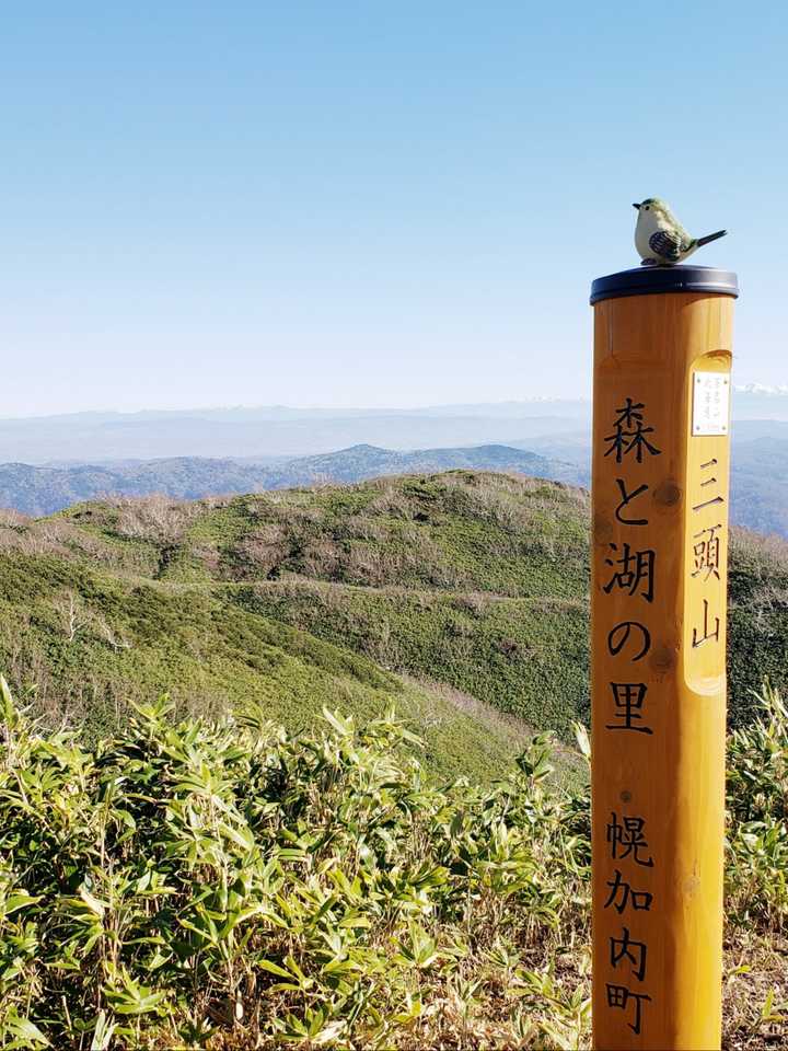 令和3年10月30日✨
今日も、三頭山の日ですよ⛰️
と、ﾍﾞﾃﾗﾝﾊｲｶｰさんが
教えて下さいました♪