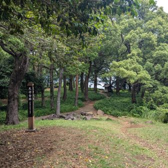 山頂の天守台跡