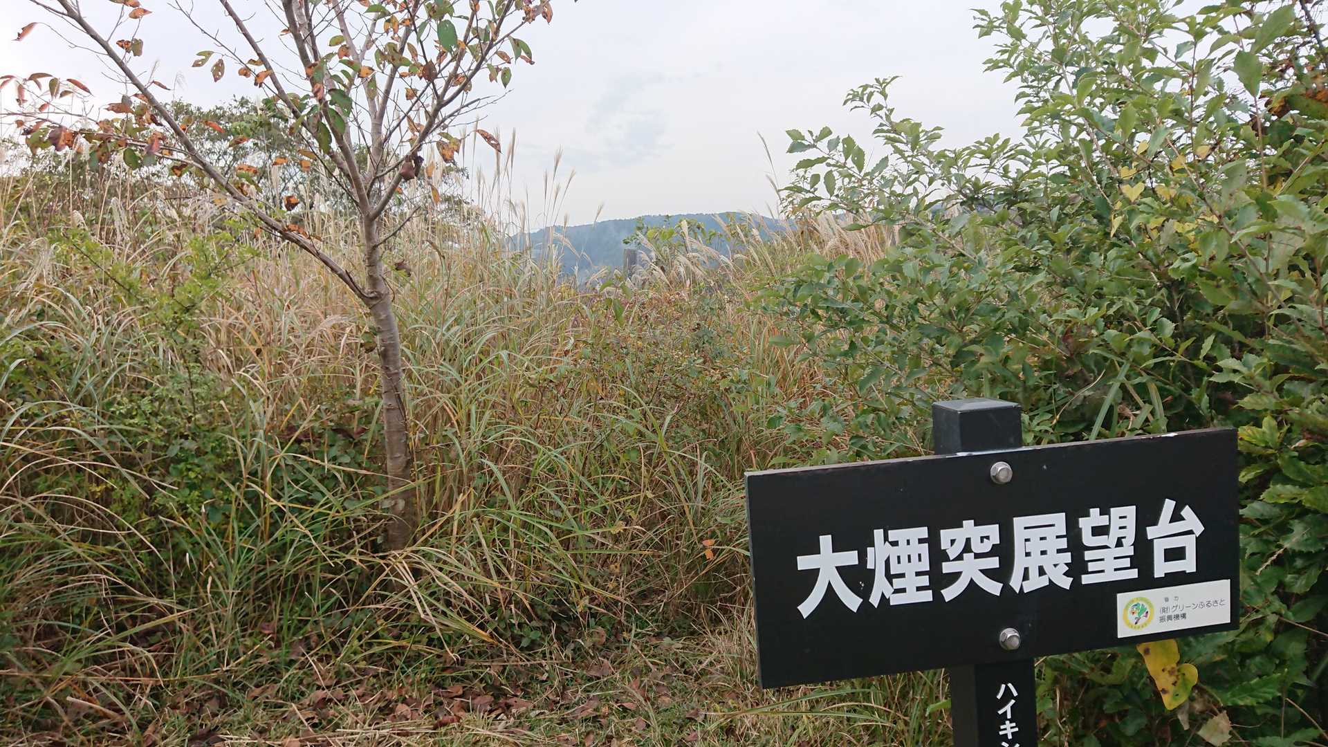 展望台