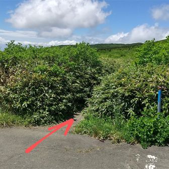 仙人沢(お清水)へ向かう登山道の入口
刈田駐車場から御田ノ神園地へは車道を通っても行けるし、こちらからも行けます