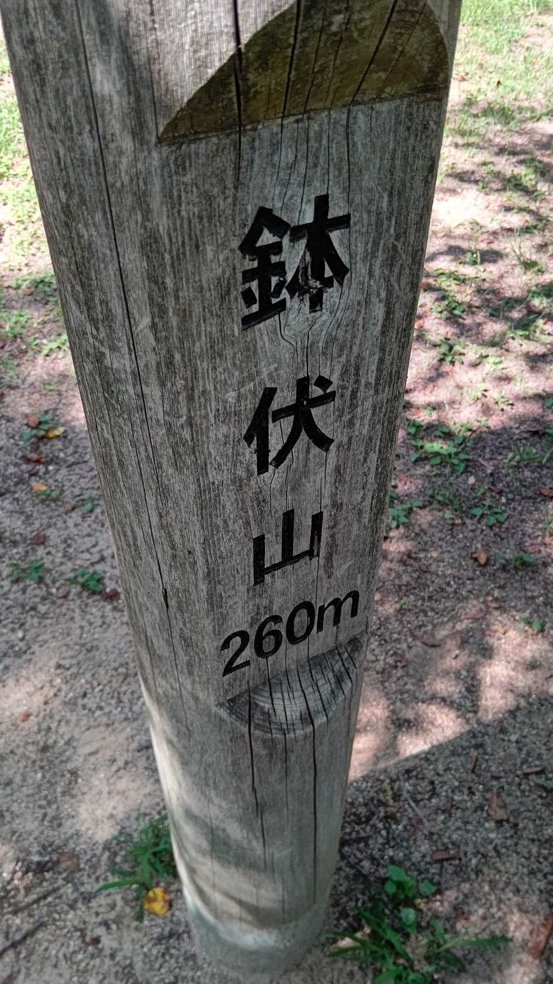 鉢伏山260m