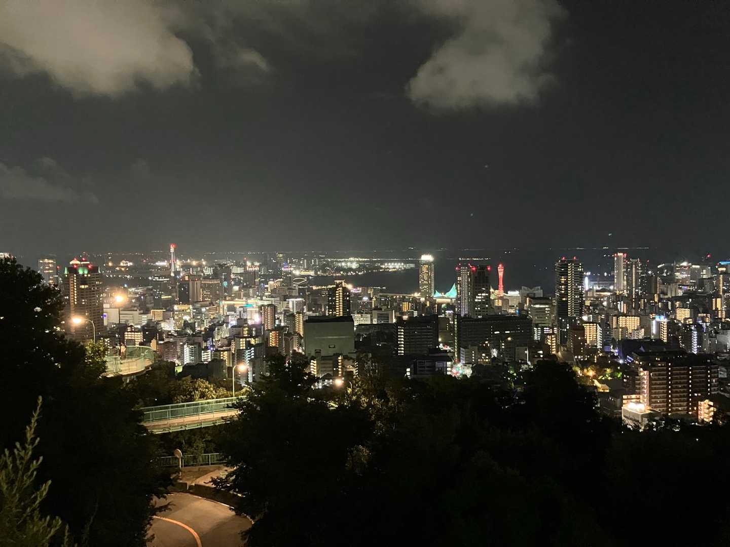 ヴィーナスブリッジからの夜景