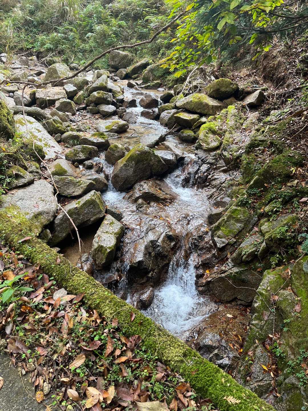小川が近くを流れてて気持ちいい😆
