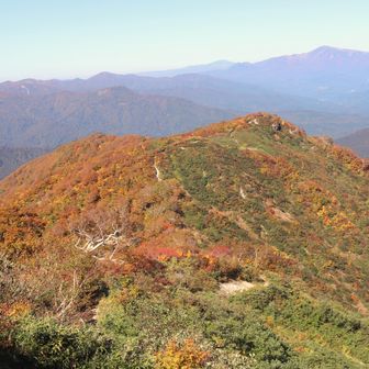 古寺山の斜面もこれからますます綺麗になるでしょう