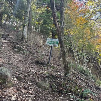 笠形山山頂まで0.4km。