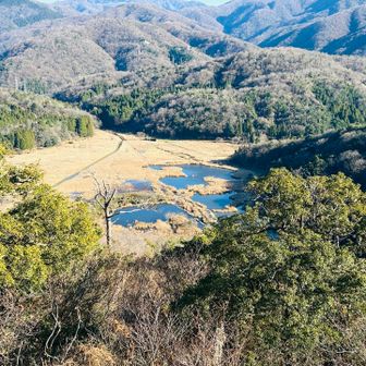 中池見湿原ここにあり。
尾瀬まで行かなくとも。