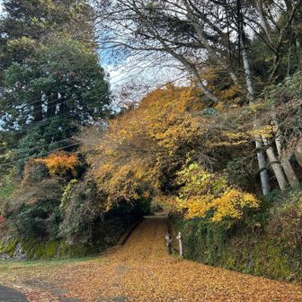 　　　高木神社前　(上津野地区)