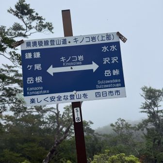 そして、キノコ岩に到着🍄🍄