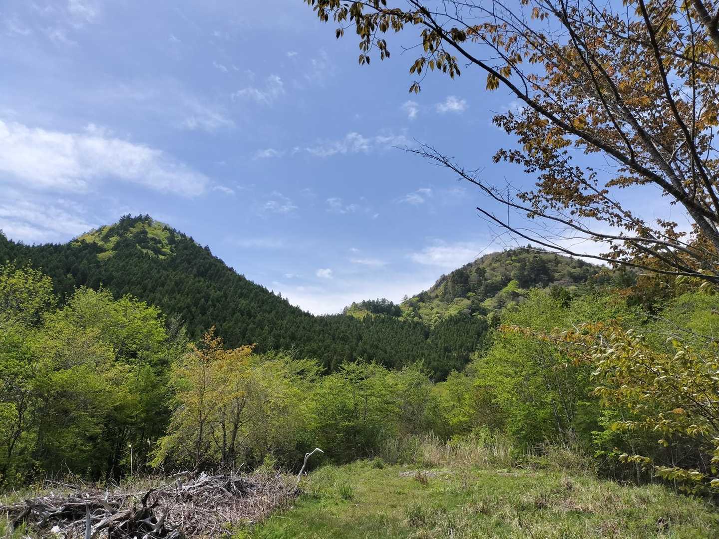 稲叢山 往復コースの写真
